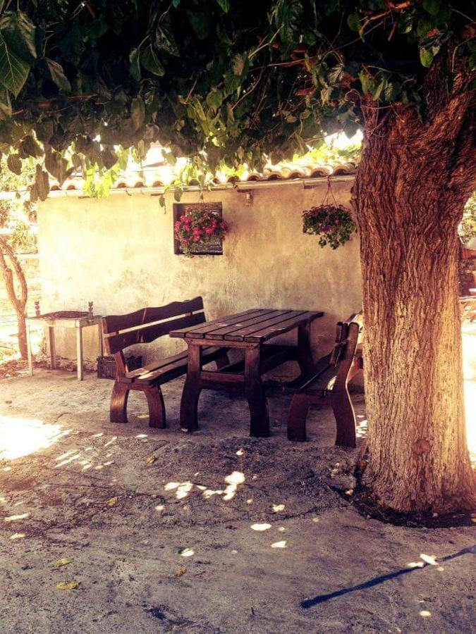 Villa Paporaki Pinakokhorion Esterno foto